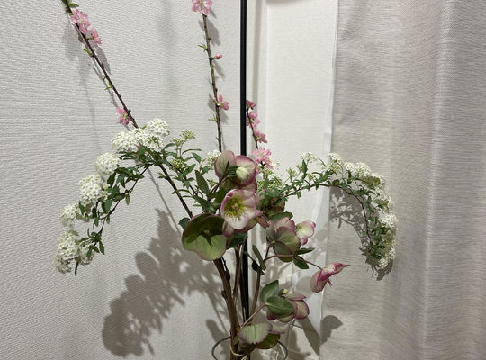 院内装飾